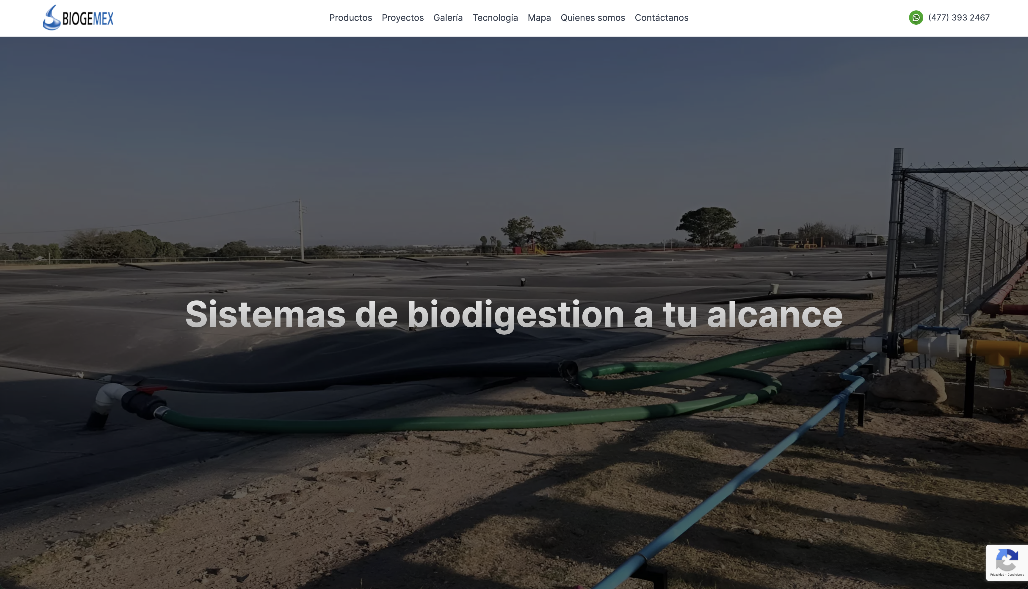 Biogemex Alt
